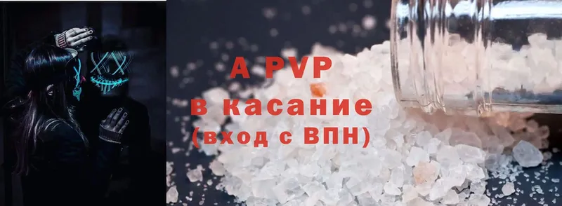 A PVP СК  Прокопьевск 