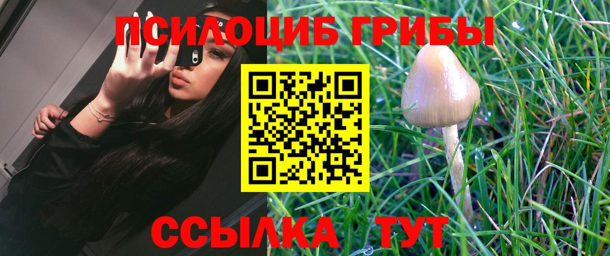 сколько стоит  Псилоцибиновые грибы GOLDEN TEACHER  Вход с VPN  Прокопьевск 